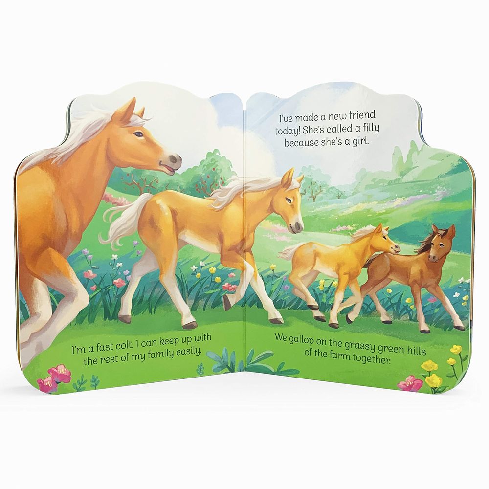 كتاب a little colt