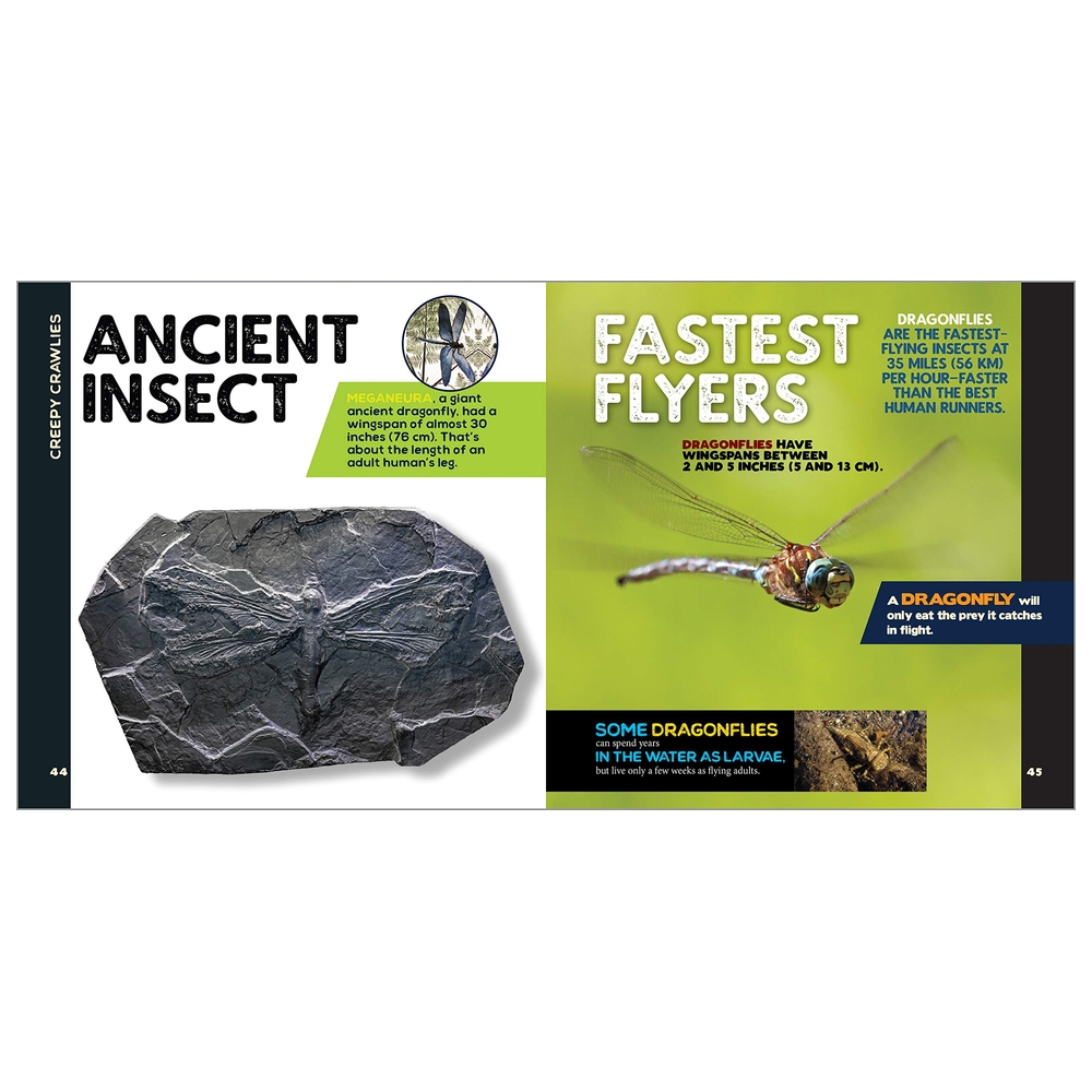  كتاب the fascinating animal book for kids: 500 wild facts!