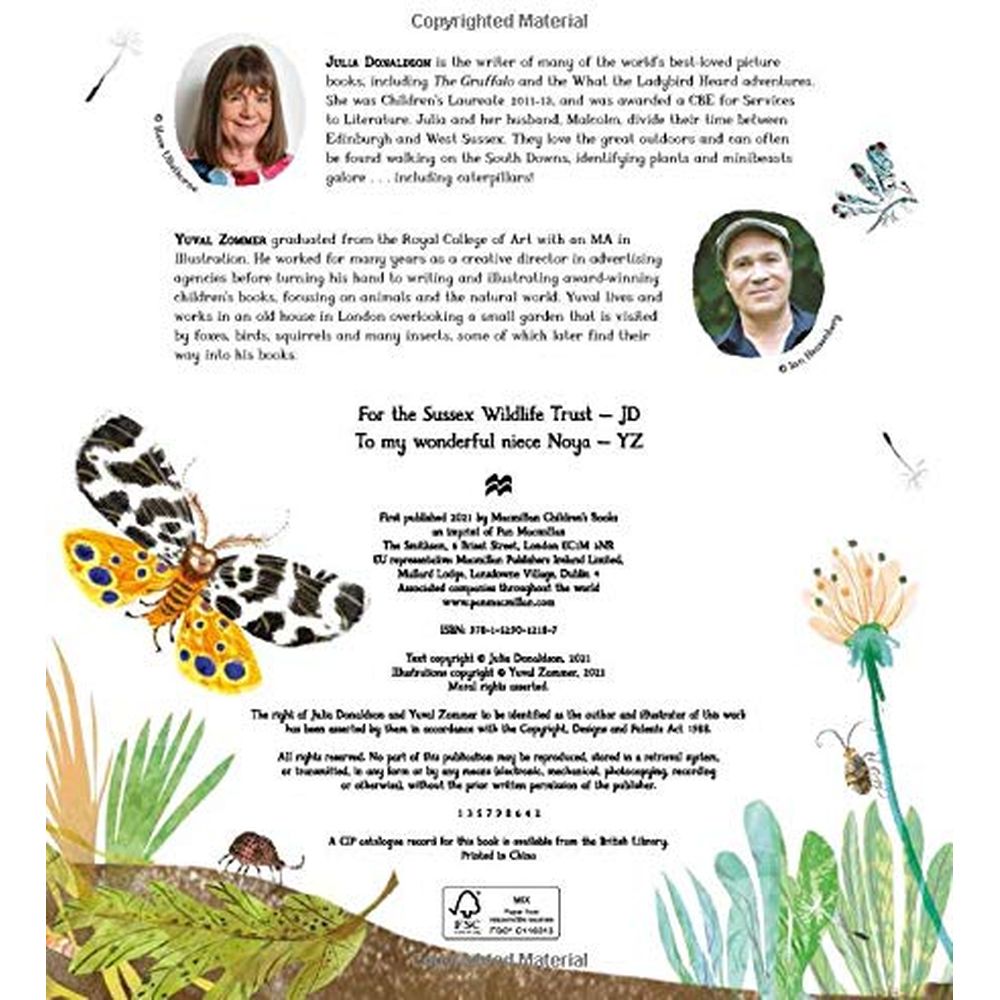 The Woolly Bear Caterpillar: Hardback