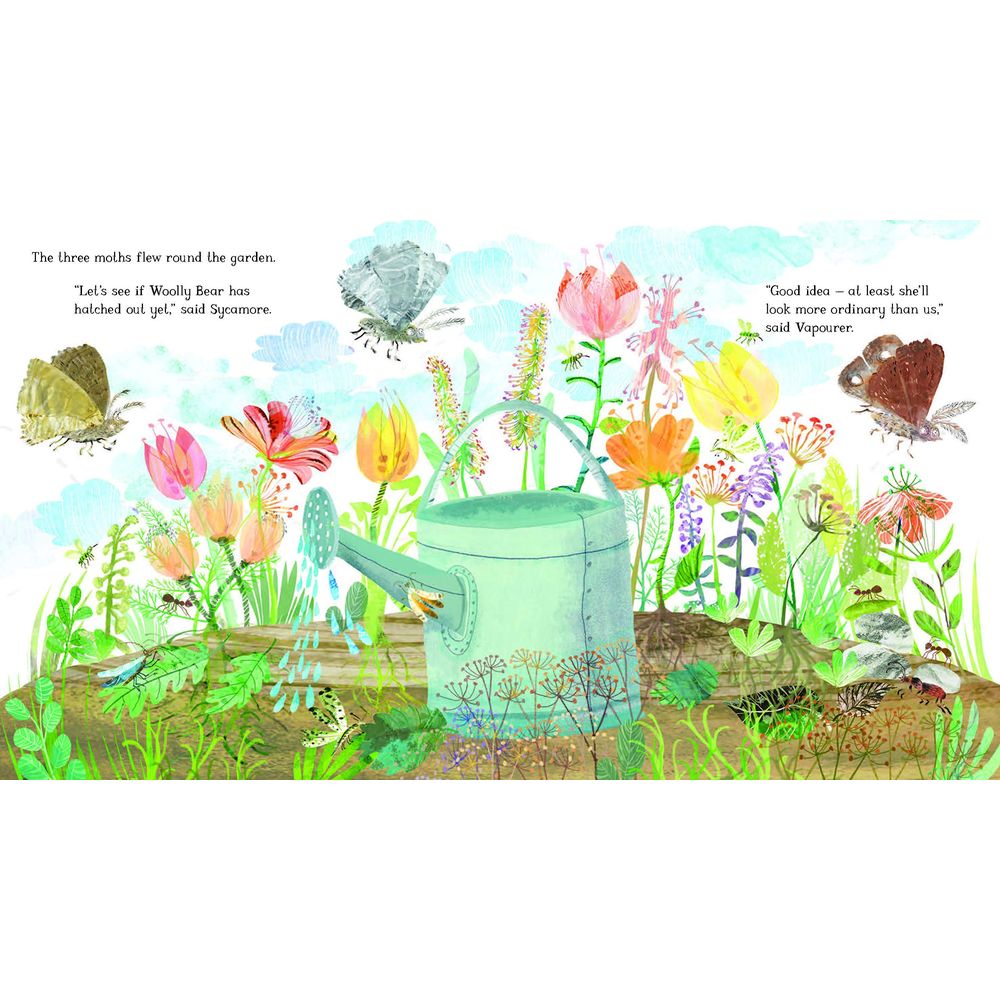 The Woolly Bear Caterpillar: Hardback