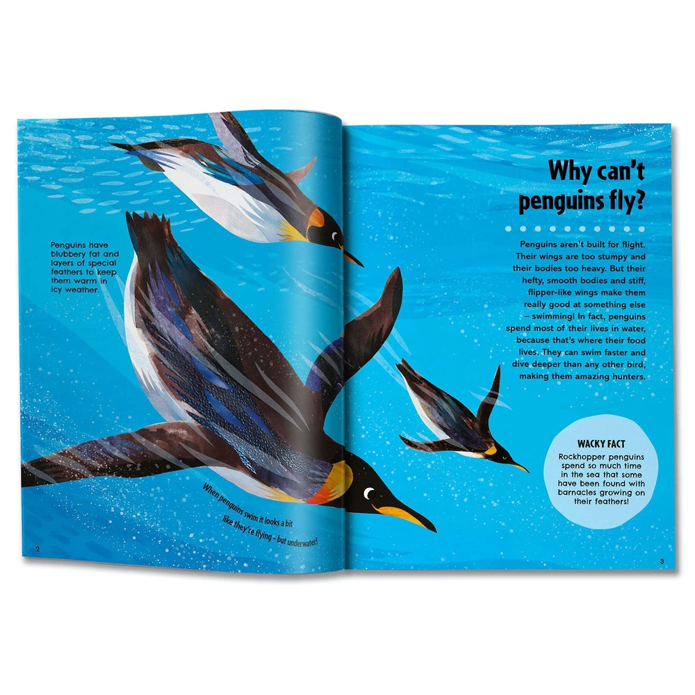 Britannica First Big Book Of Why