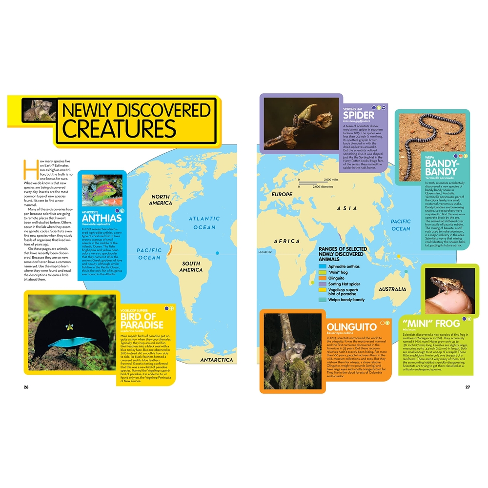 Animal Encyclopedia