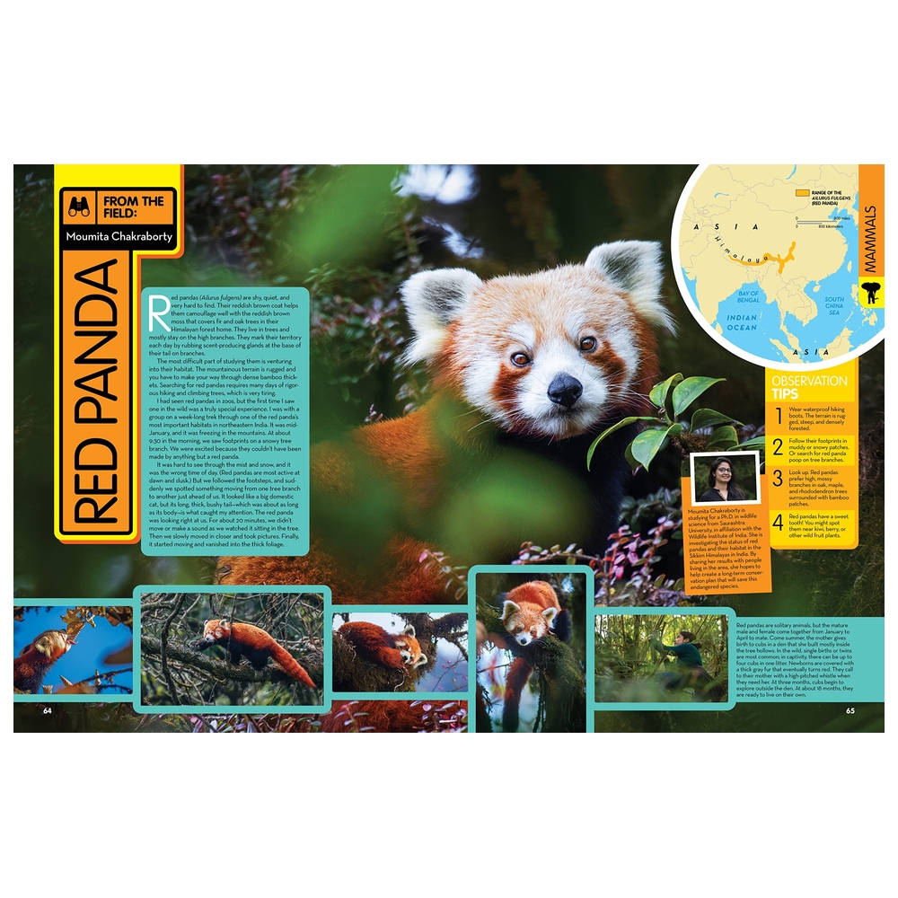 Animal Encyclopedia