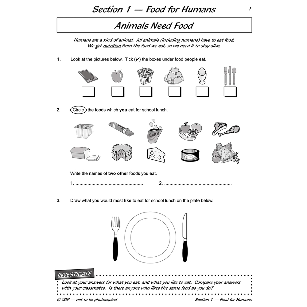 KS2 Science Year Three Workout: Nutrition & The Body
