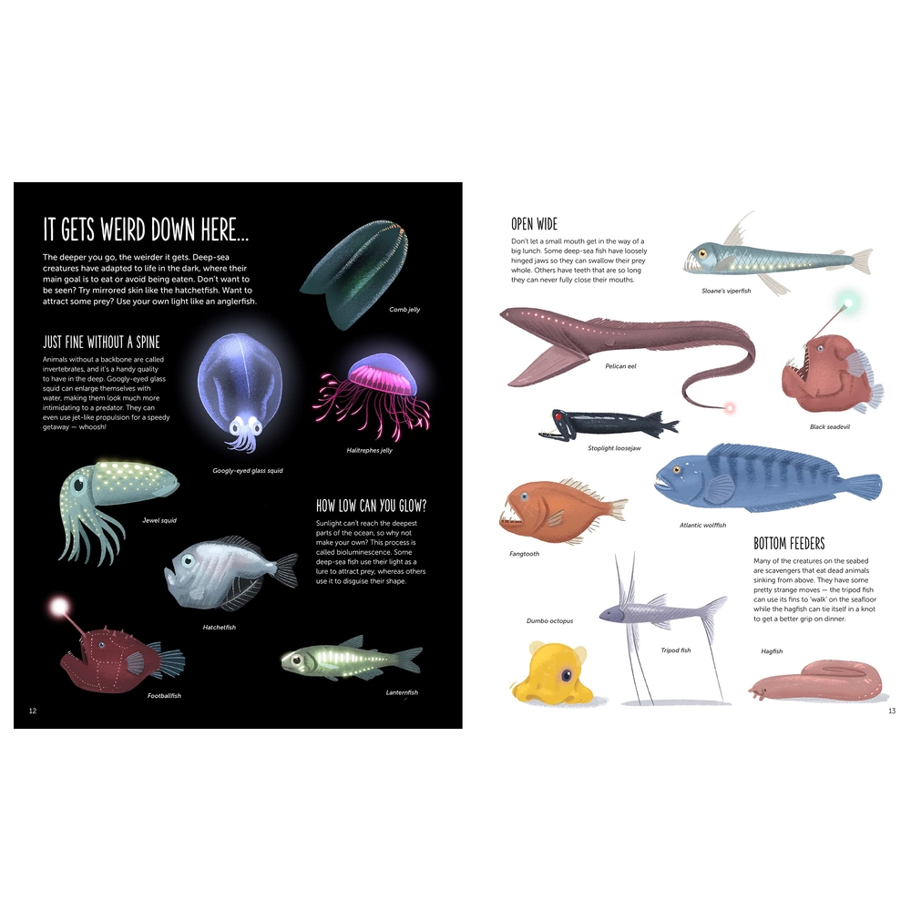 Deep: Dive Into Hidden Worlds