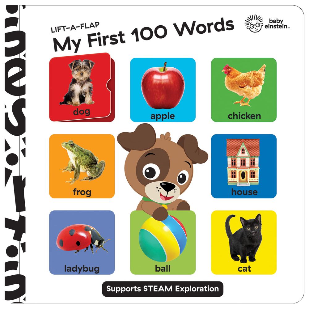 Baby Einstein: My First 100 Words: Lift-A-Flap
