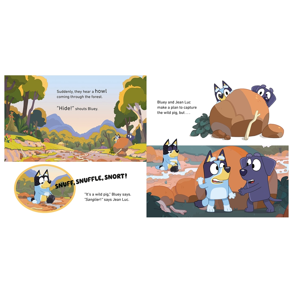 Bluey: Camping