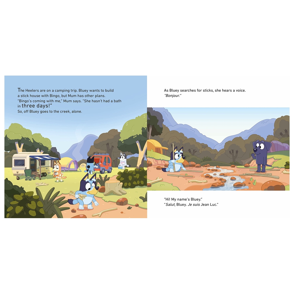Bluey: Camping
