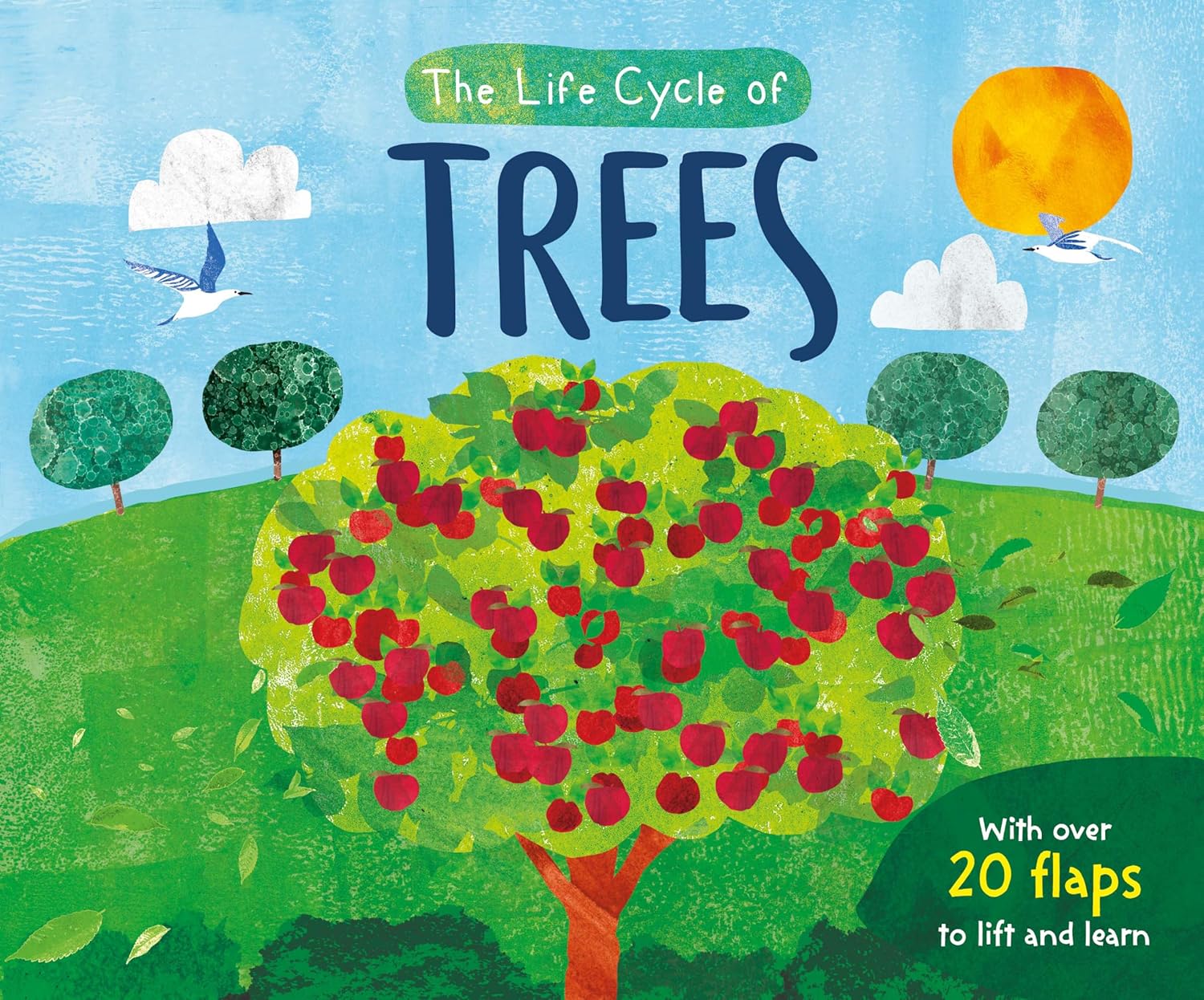 Buy The Life Cycle Of Trees at The Affordable Price - Mumzworld
