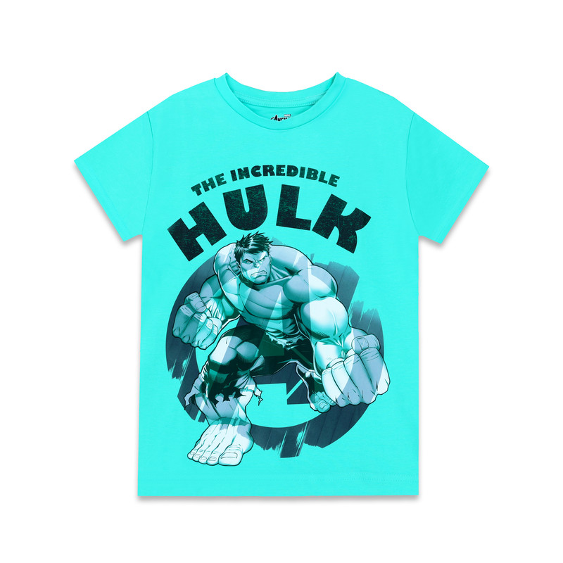 Buy Marvel - The Incredible Hulk Boy's Short Sleeve T-Shirt - Sky Blue ...