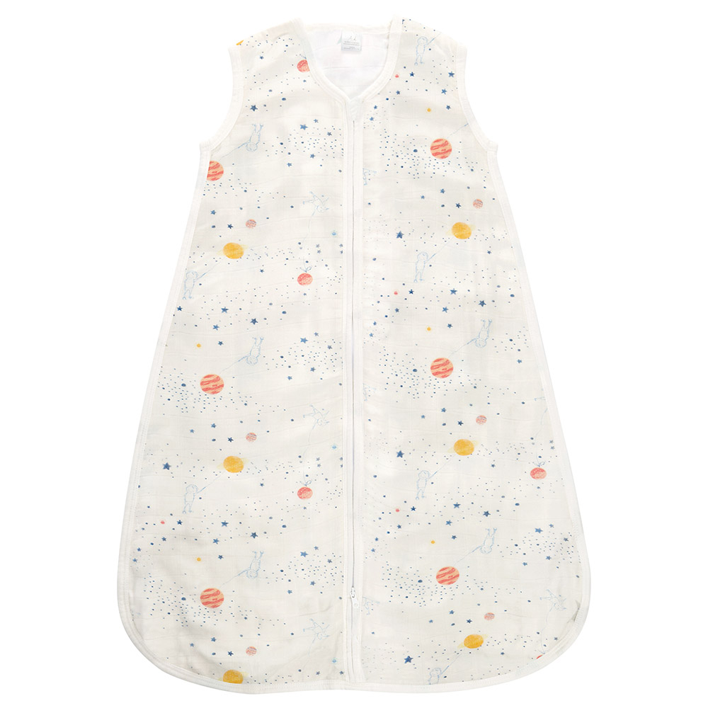 Sleep sack aden and hot sale anais