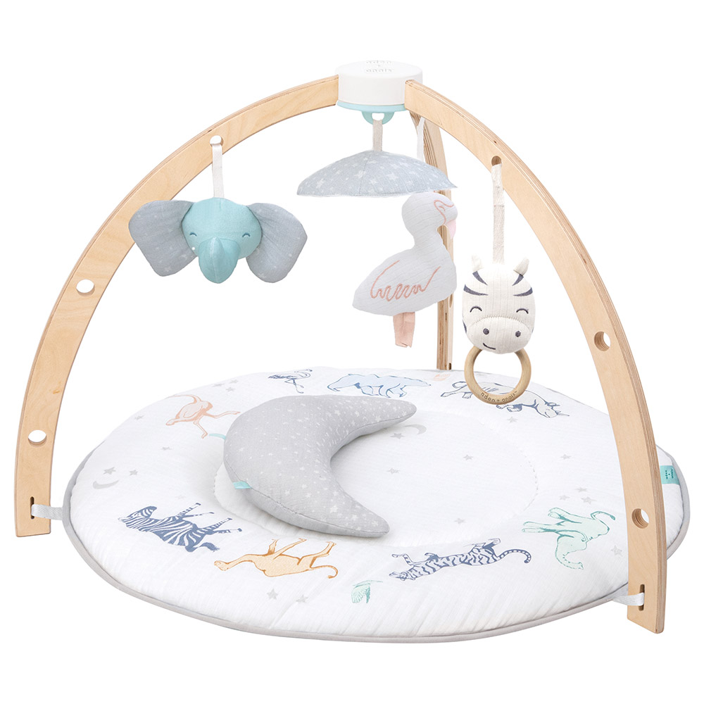 Aden + Anais Play & Discover Activity Gym