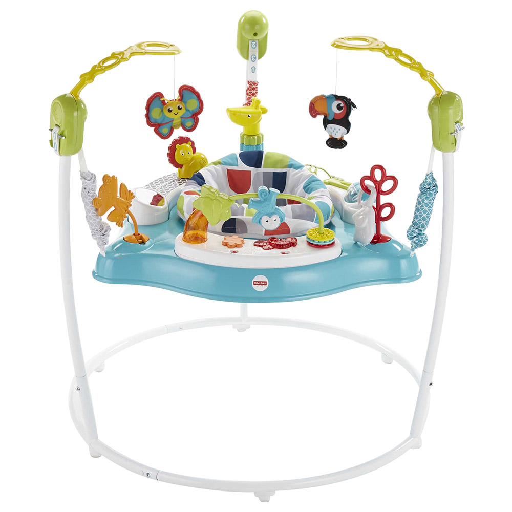 Fisher Price Color Climbers Jumperoo Bouncer