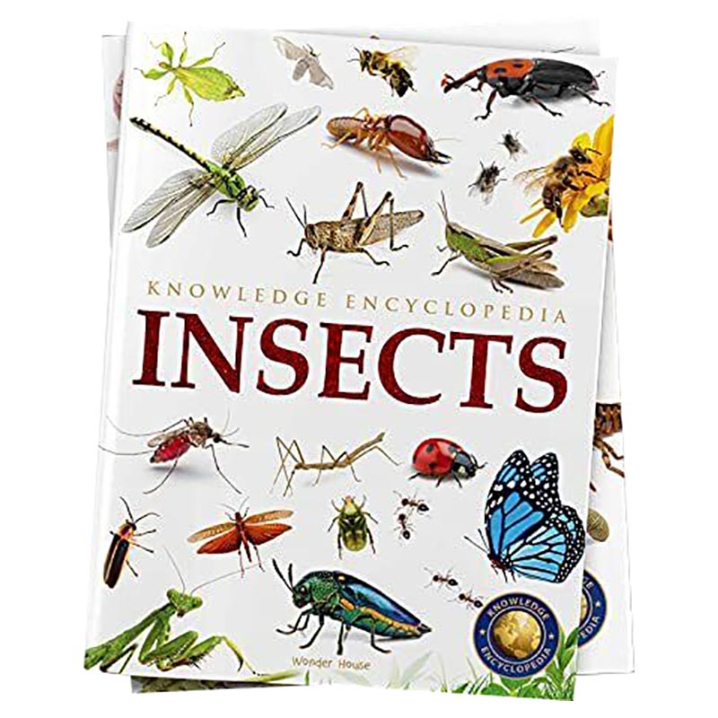 Buy Animals Insects Knowledge Encyclopedia in UAE | Mumzworld