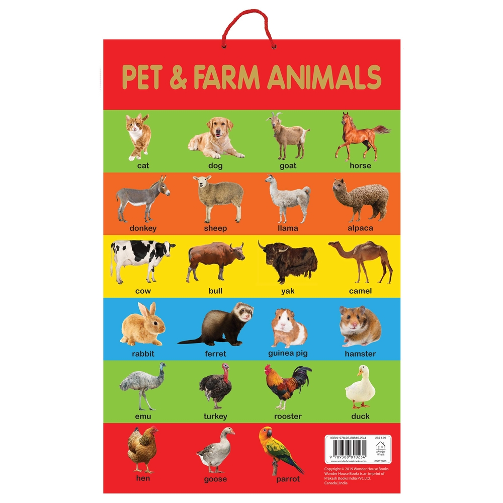 Pet & Farm Animals Early Learning Educational Posters