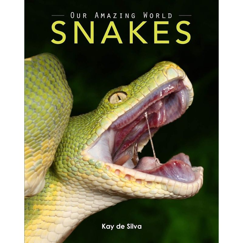 Buy Snakes: Amazing Pictures & Fun Facts On Animals In Nature in UAE ...