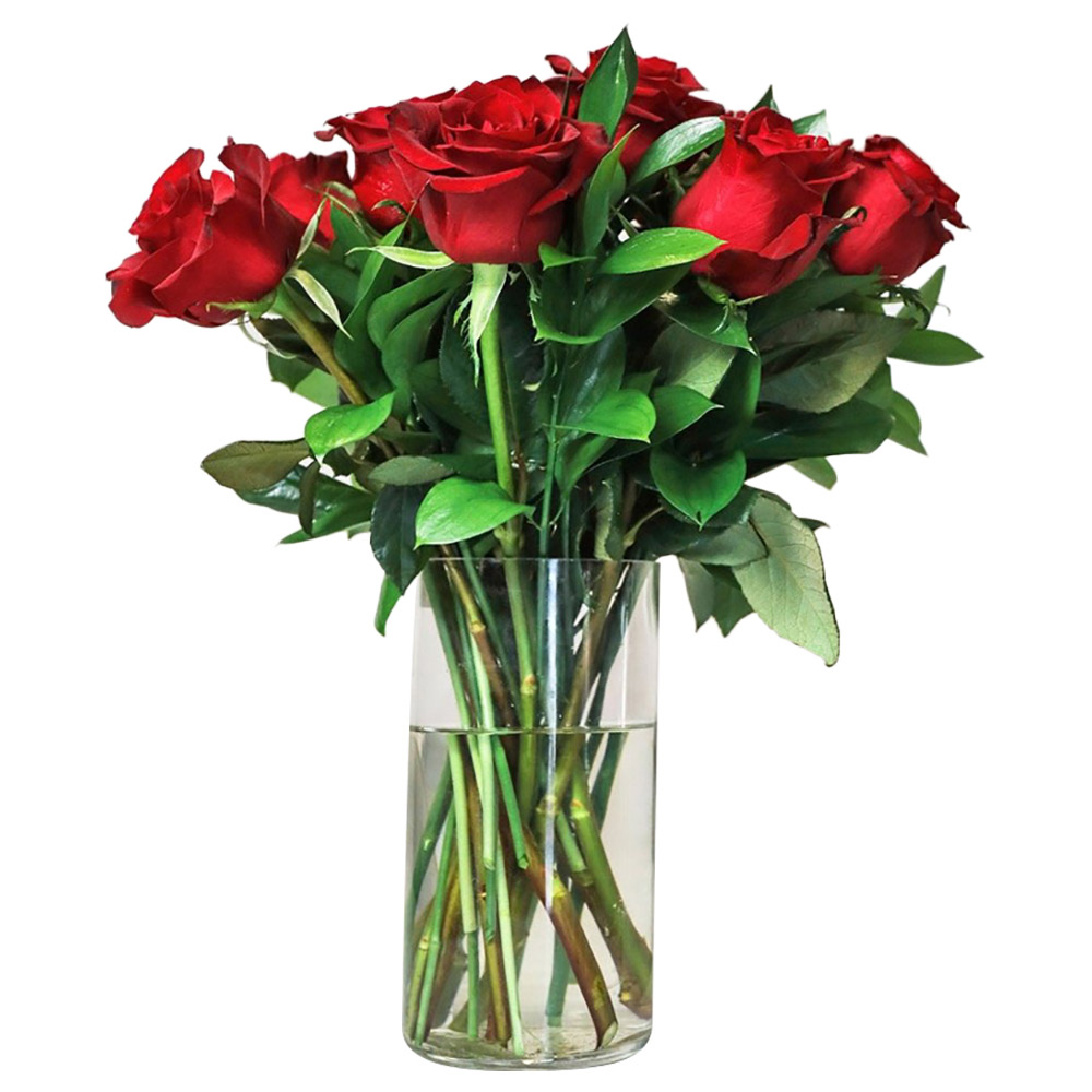 12 Roses Bouquet Buy at Best Price from Mumzworld