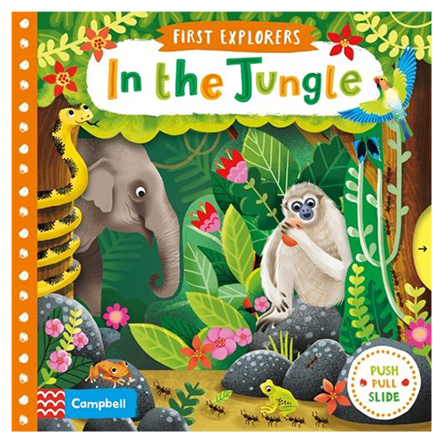 Buy In the Jungle in UAE | Mumzworld