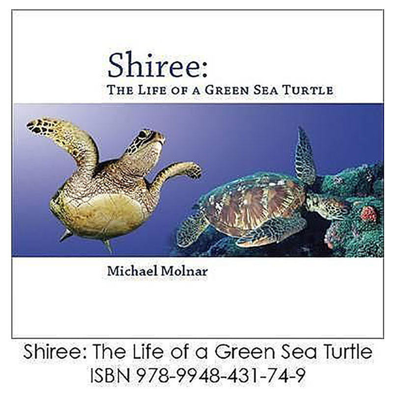 Buy Shiree in UAE | Mumzworld
