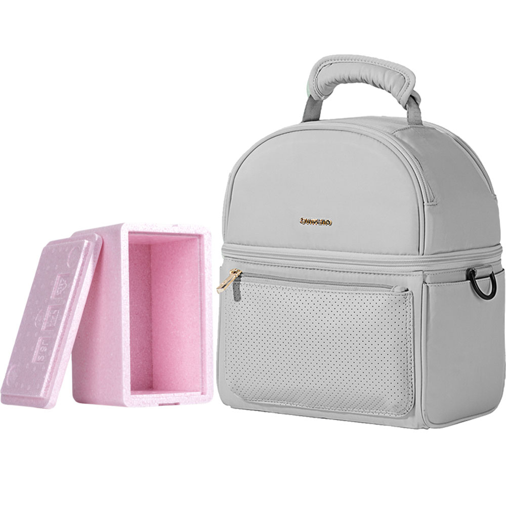 Best insulated shop lunch tote