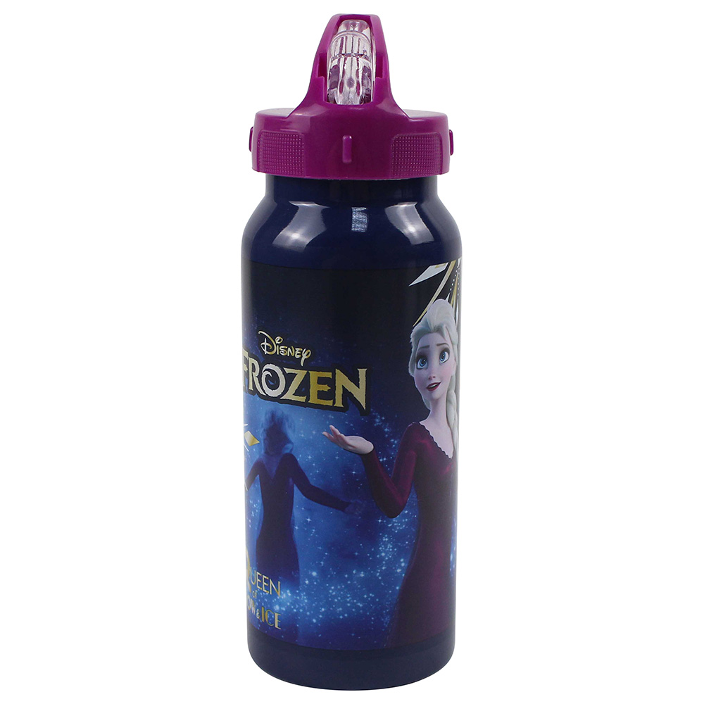 DISNEY Rapunzel 420 ml Water Bottle - Sipper