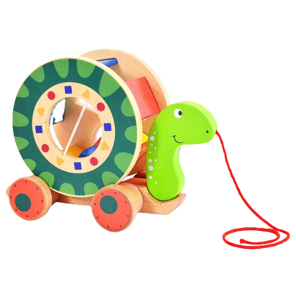 A Cool Toy Pull Along Shape Sorter Turtle