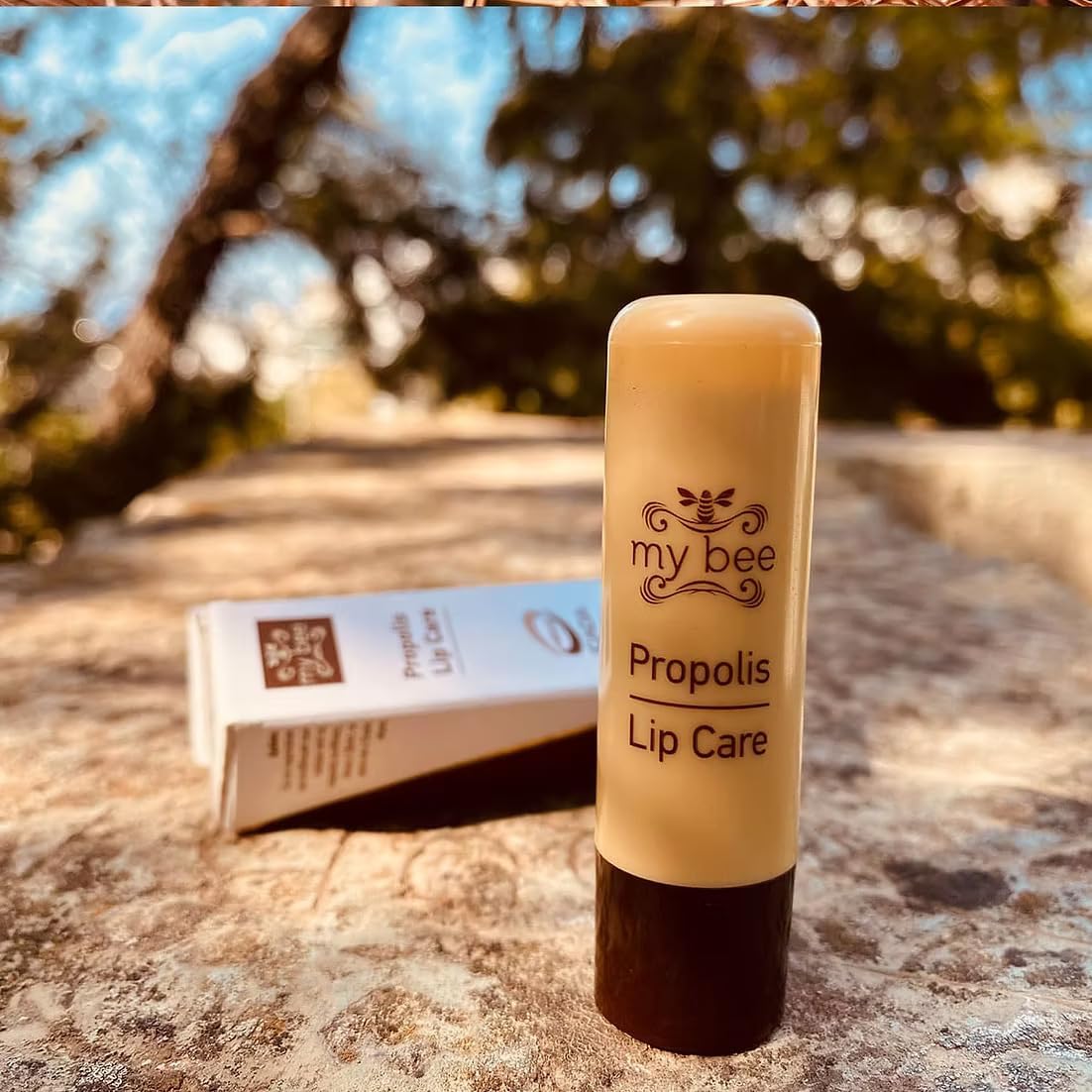 Mybee Natural Lip Care with Propolis, Beeswax & Olive Oil – 5.5g Repair Balm