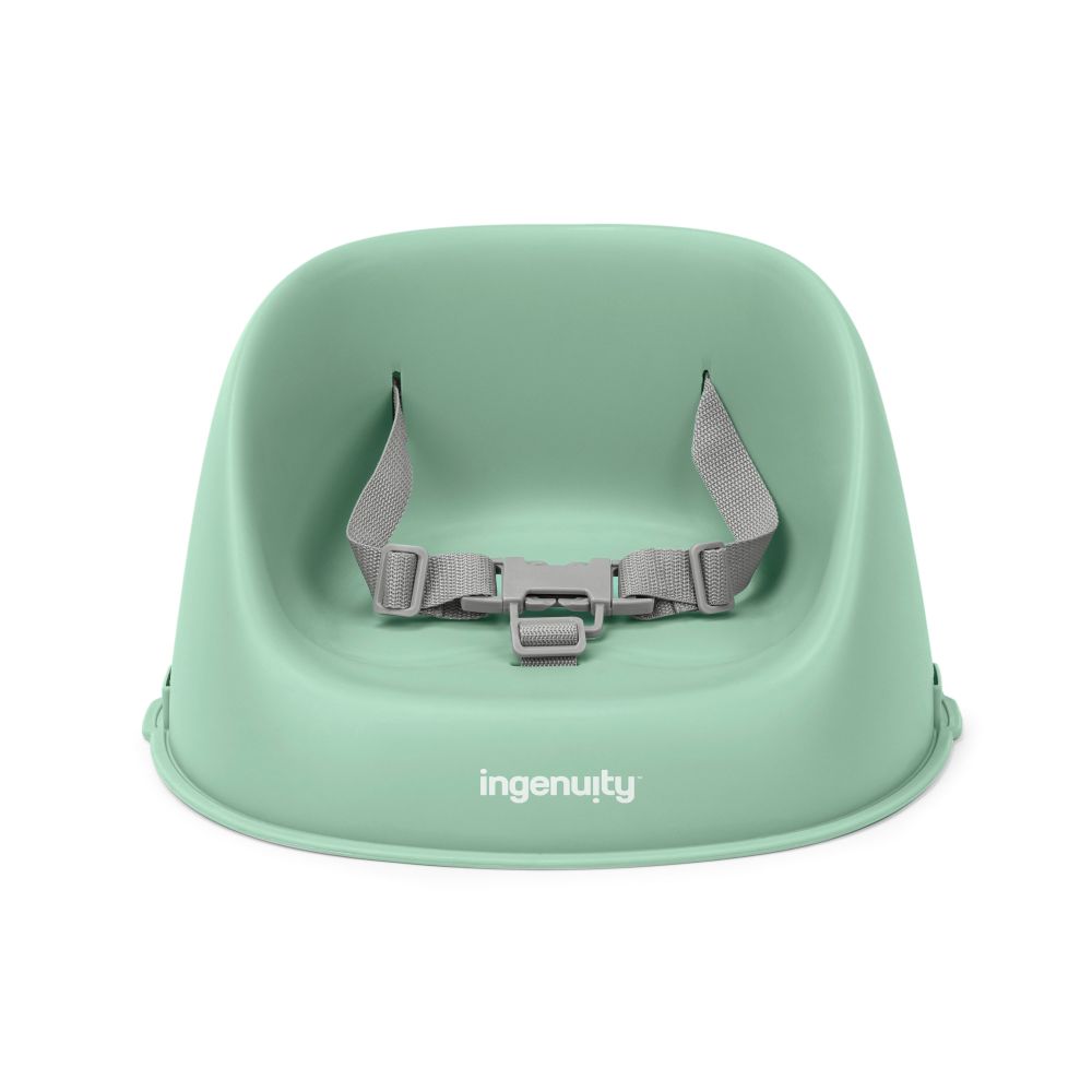 Ingenuity My Spot Easy-Clean Booster Seat - Green