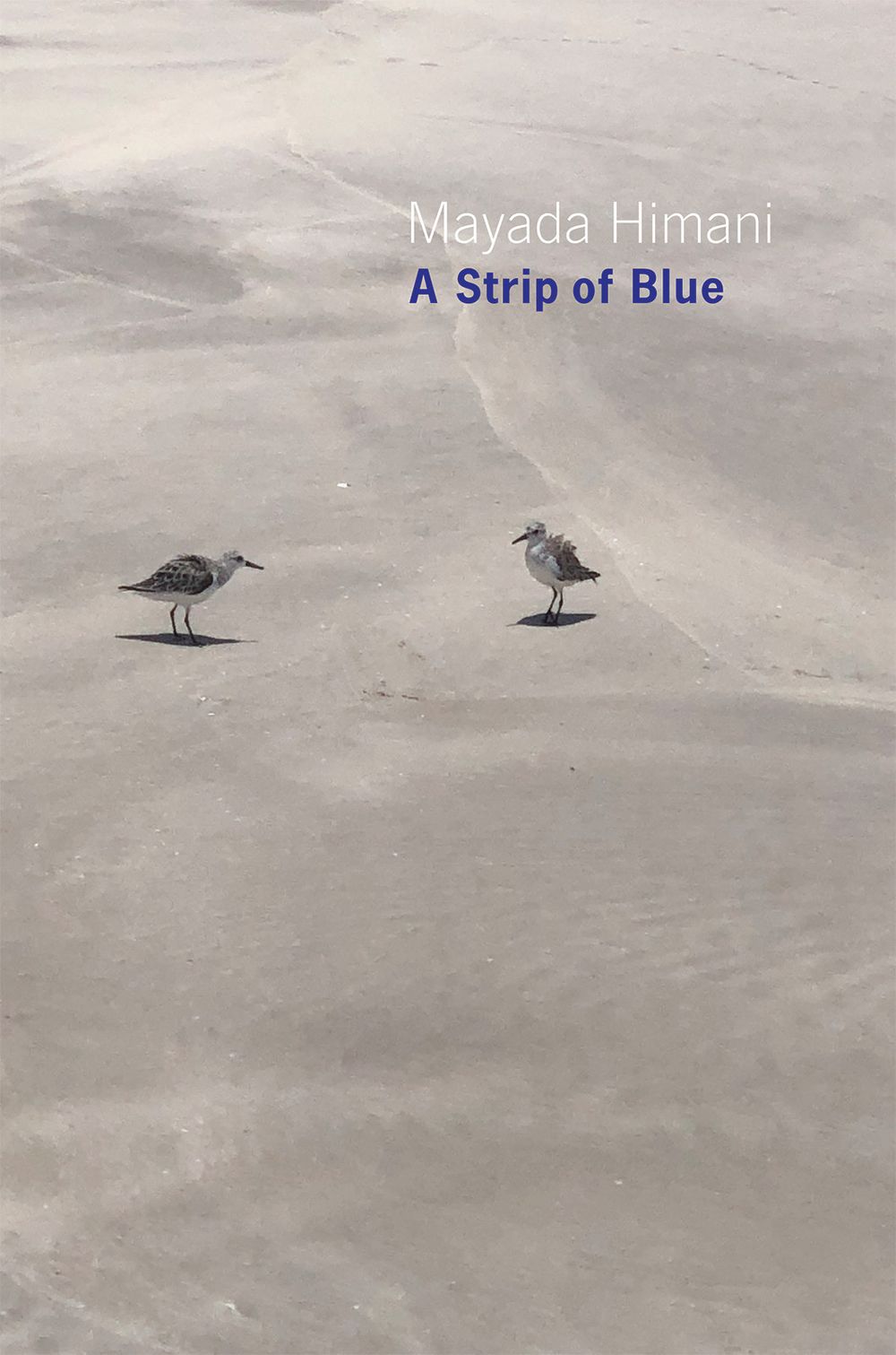 A Strip Of Blue