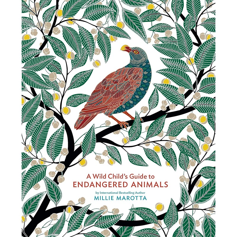 A Wild Child's Guide To Endangered Animals