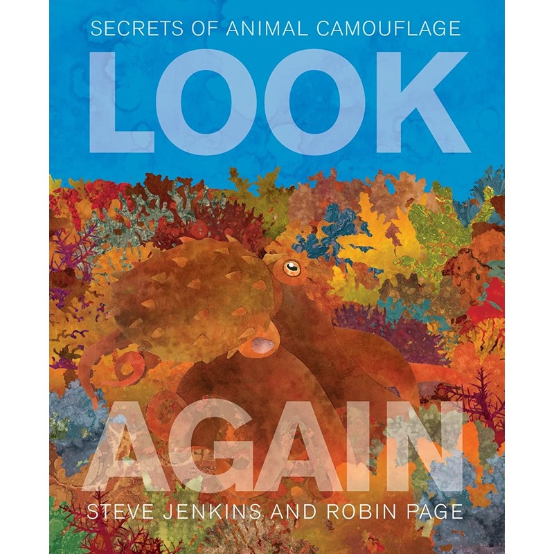 Look Again - Secrets Of Animal Camouflage