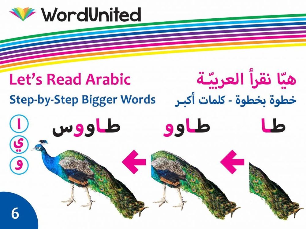 Word United - Let's Read Arabic Step By Step Bigger Words