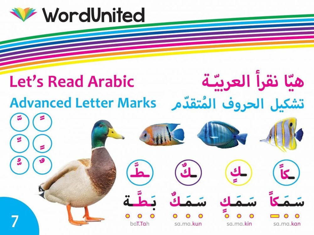 وورد يونايتد - هيا نقرأ العربية - تشكيل الحروف المتقدم