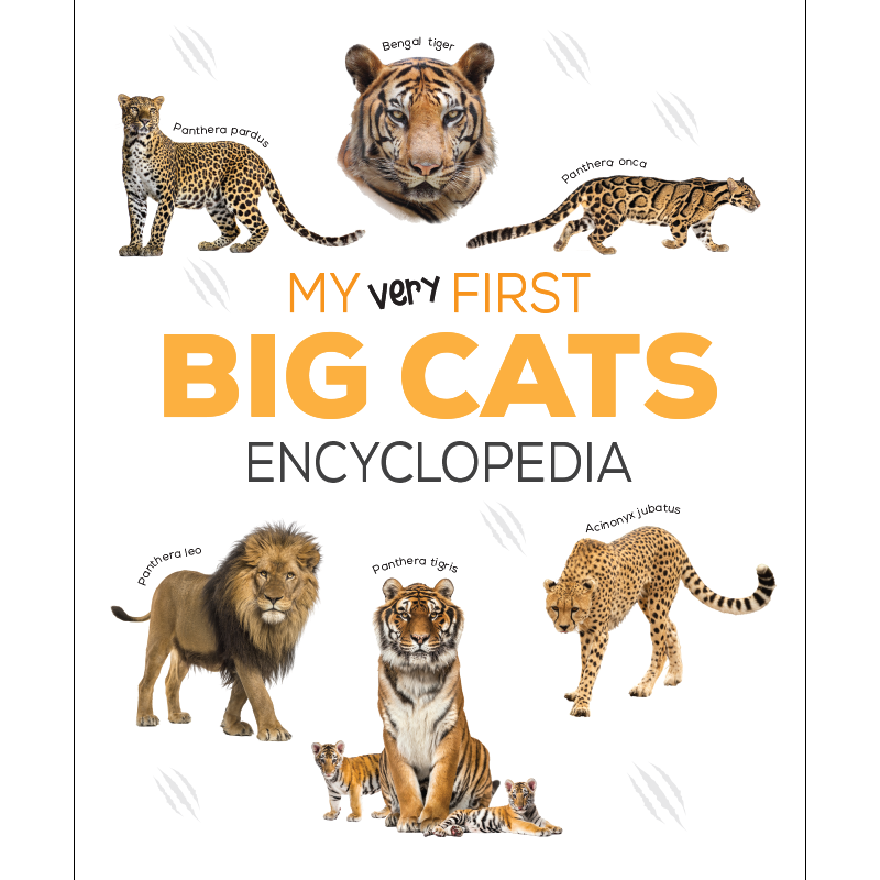 موسوعتي الأولى - القطط الكبيرة