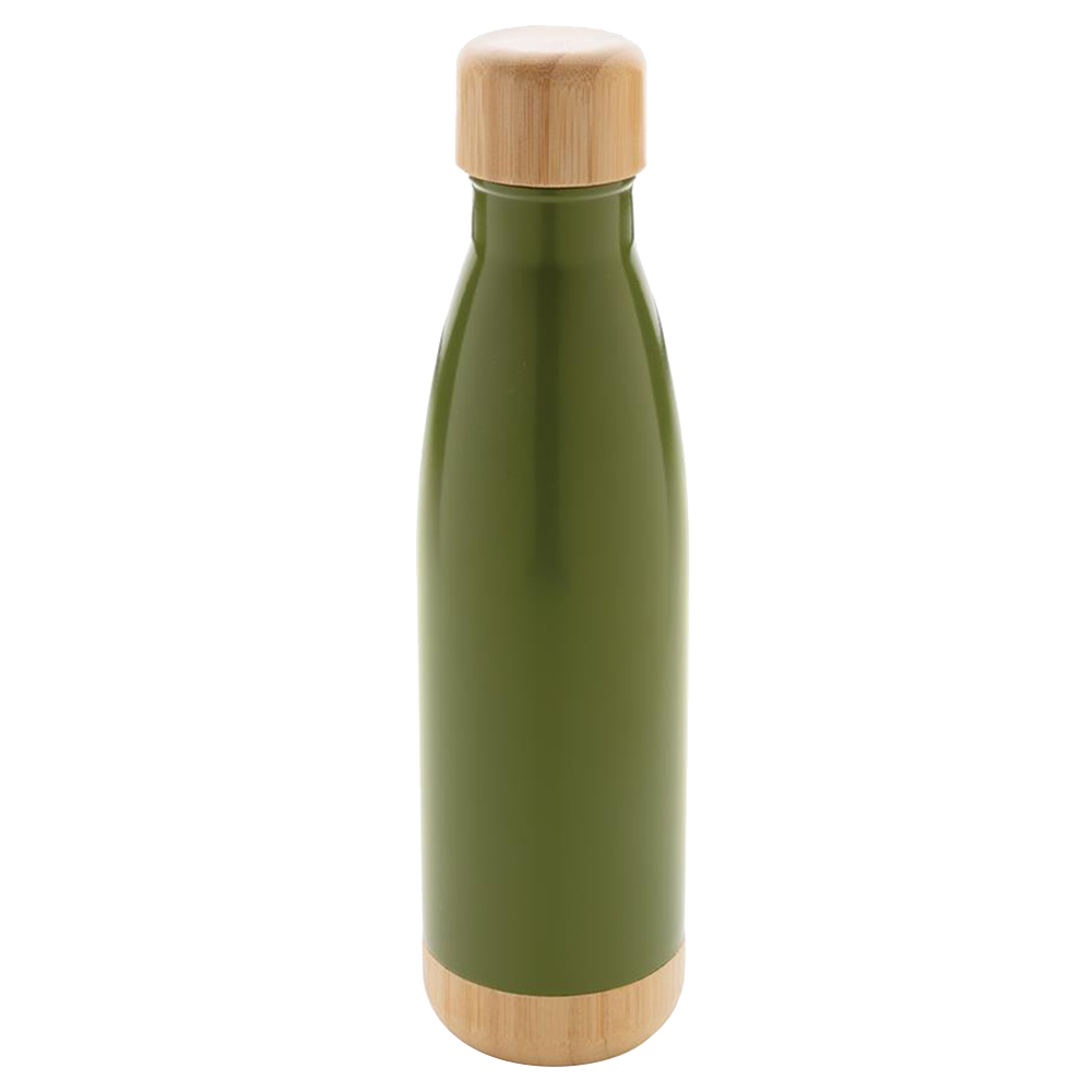 Giftology - Odessa Double Wall Stainless Bottle - Green - 520ml