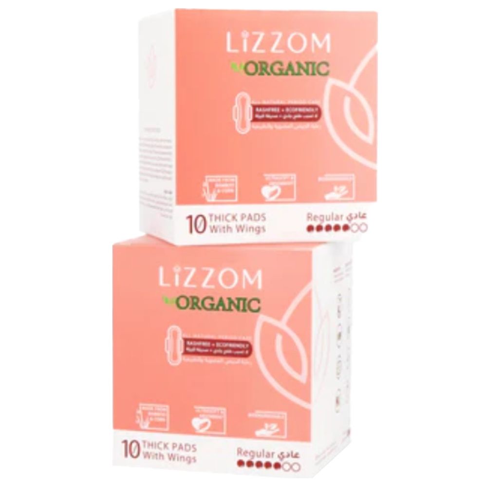 Lizzom - Night Pads Regular Size With Wings 20 Count Pack Of 2