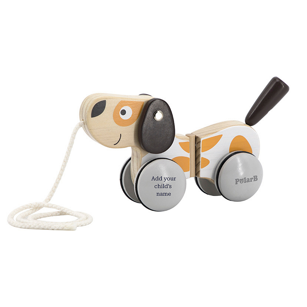 PolarB - Personalized Pull Along Puppy