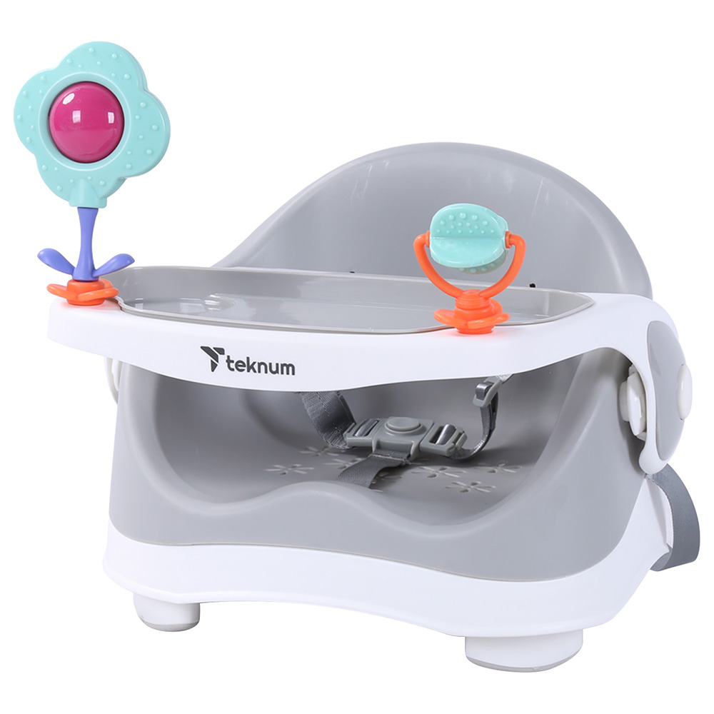 Teknum Portable Booster Chair - Grey