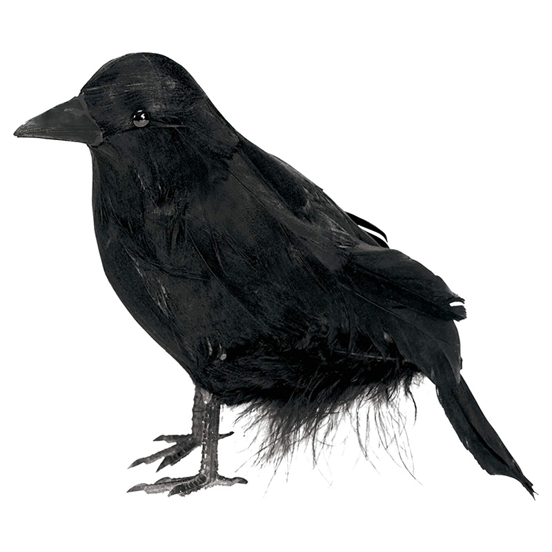 Party Centre - Small Ravens - Black