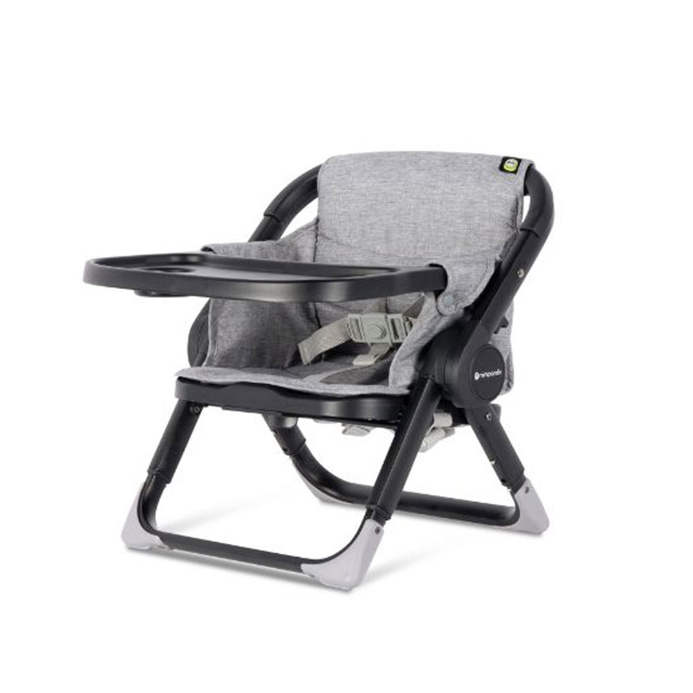 Mini Panda Snacky Time Cub Booster Seat Group 1 - Graphite