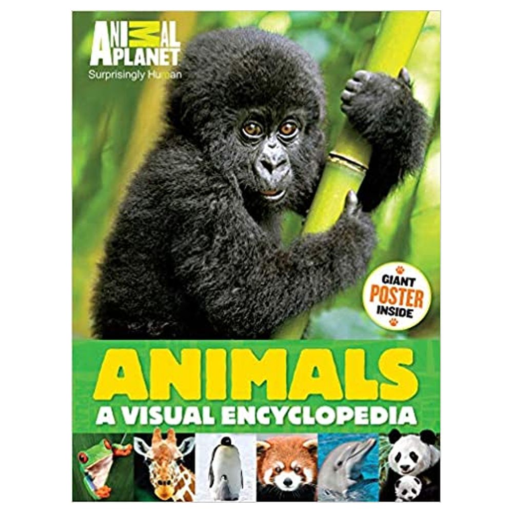Animals: A Visual Encyclopedia