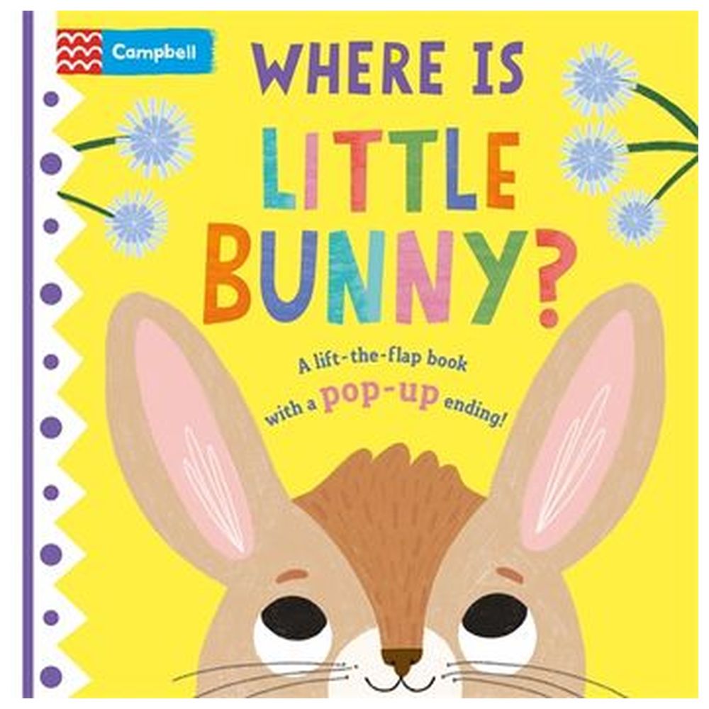 كتاب Where Is Little Bunny