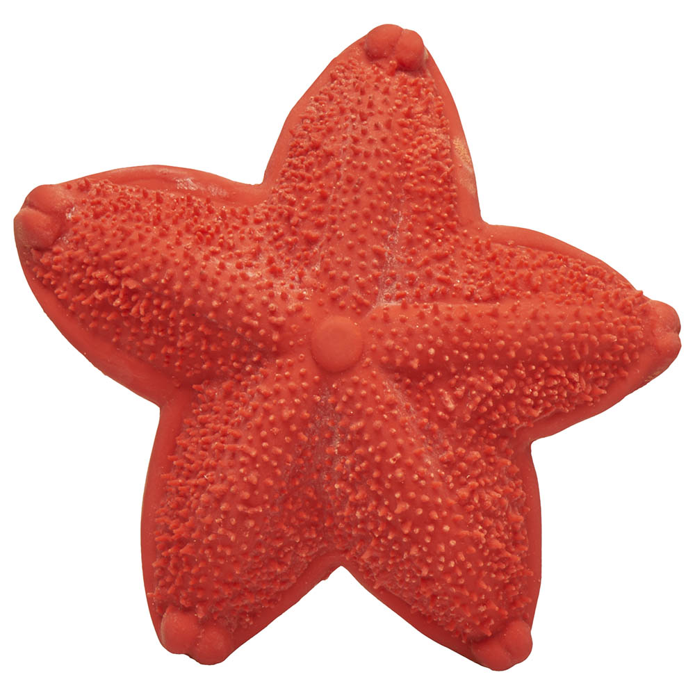 لانكو عضاضة نجمة البحر أحمر