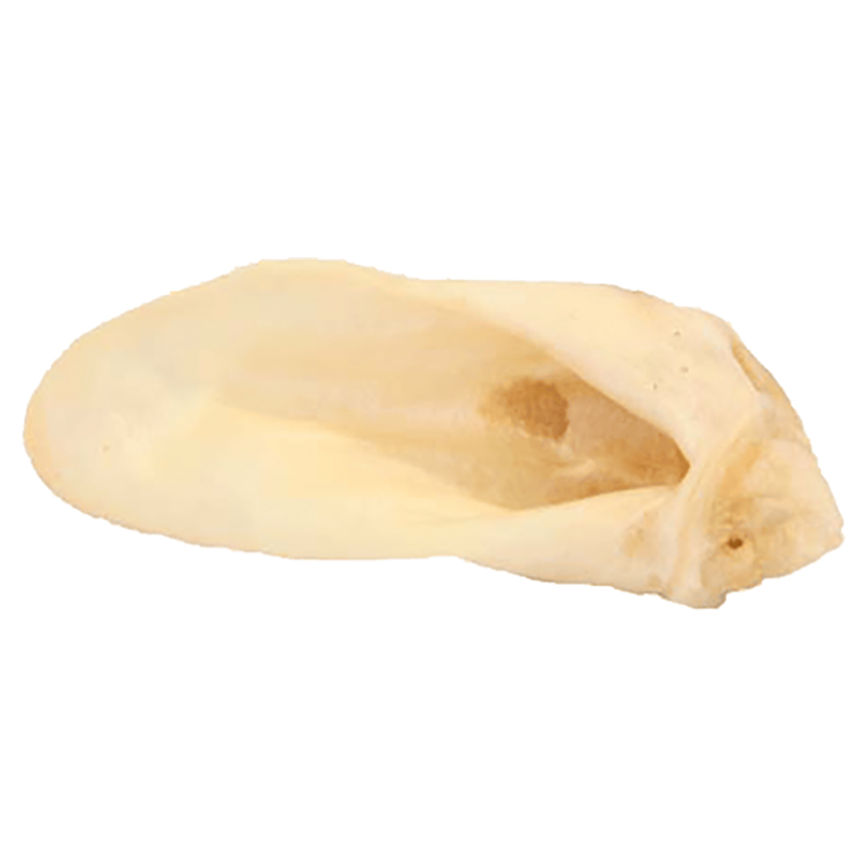 ريد بارن - آذان الحمل