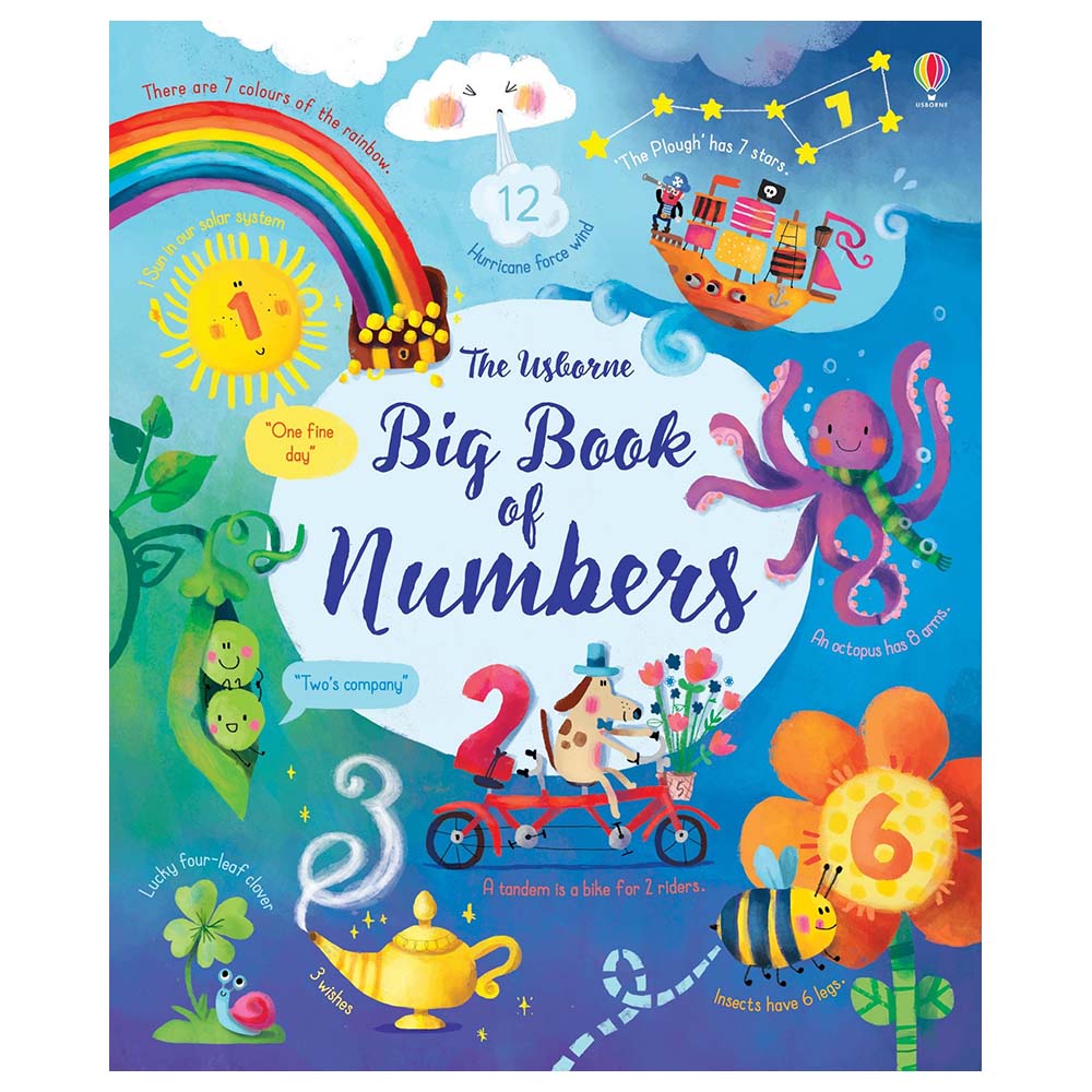 Usborne Books - Big Book Of Numbers