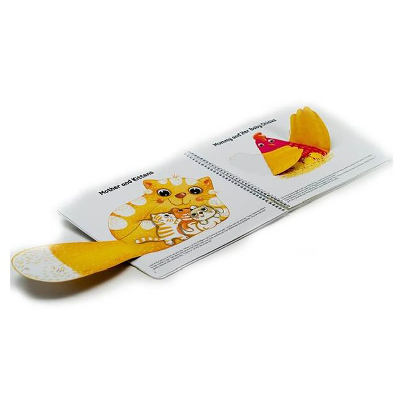 EarlyLearny - Activity & Development Set - 29th Month Kit