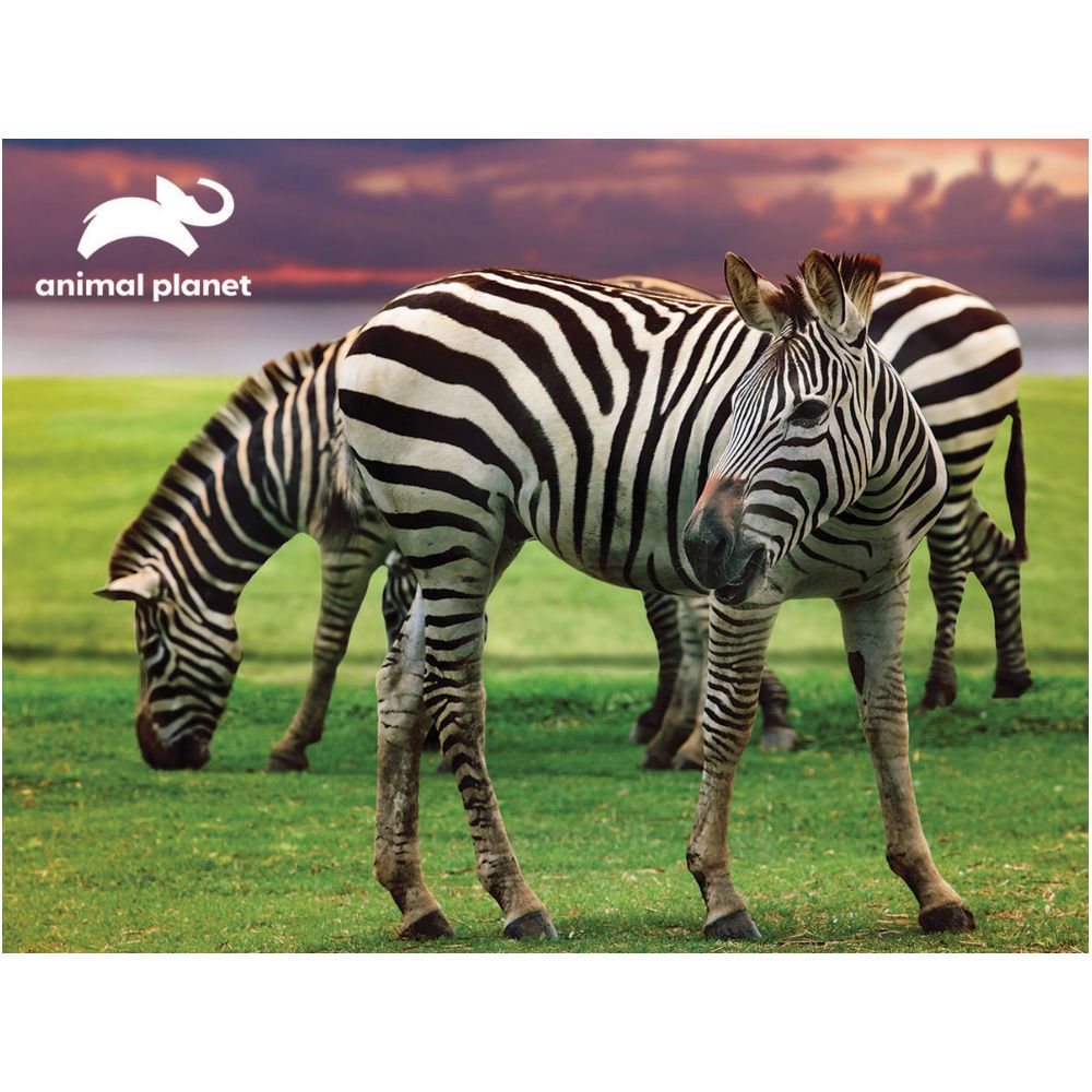 Prime 3D - Animal Planet - Zebra 48pcs Puzzle with Plush
