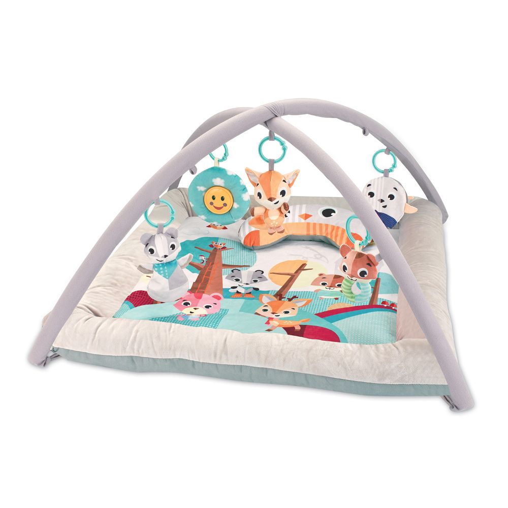 Little Angel Baby Play Mat Activity Gym - Grey/Blue