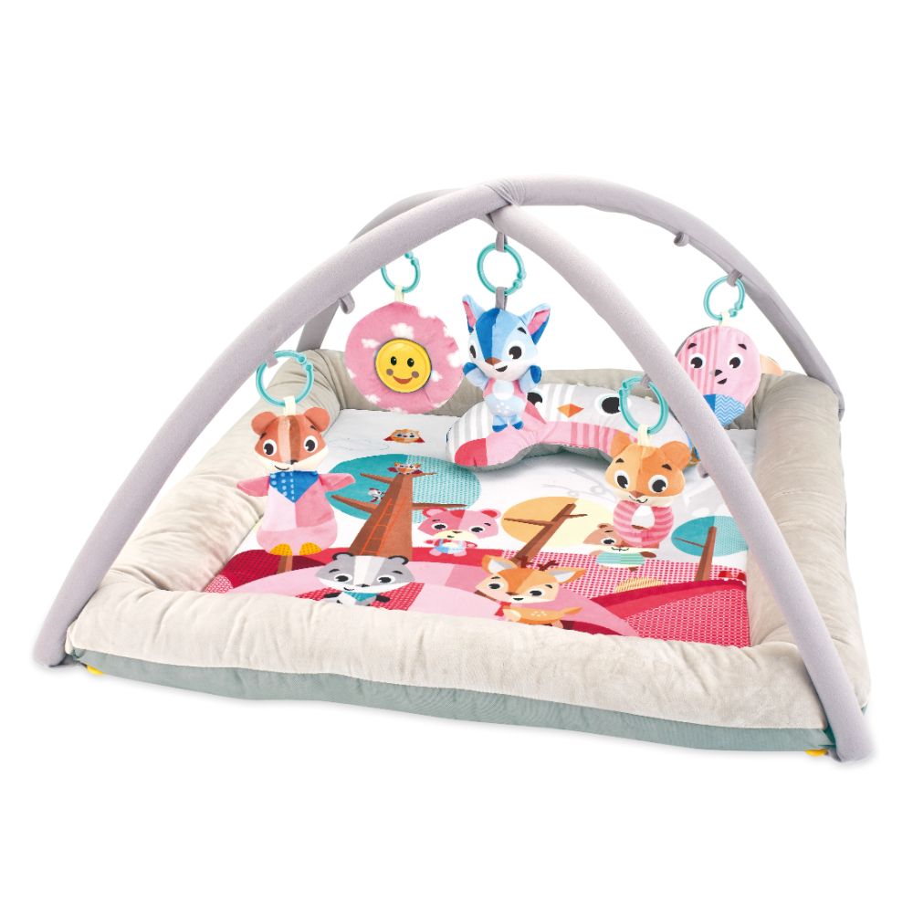 Little Angel Baby Play Mat Activity Gym - Grey/Pink