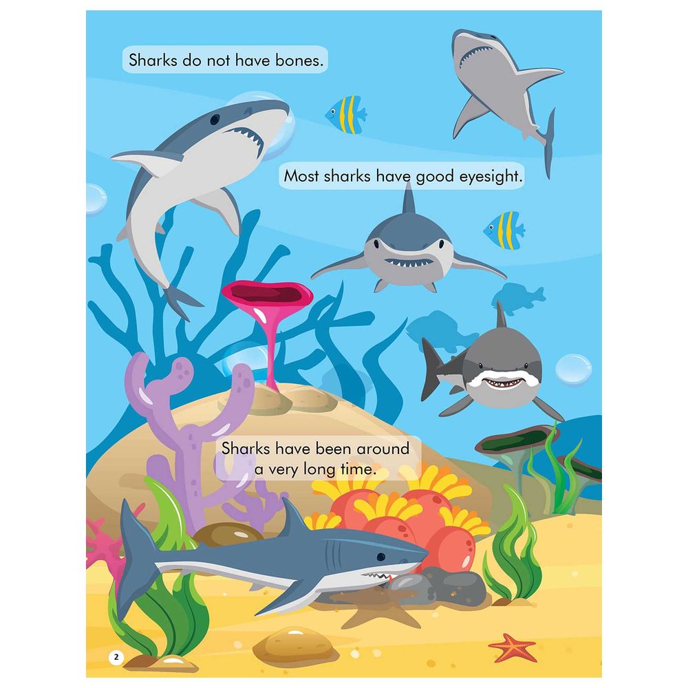 كتاب أنشطة وملصقات Explore The Sea